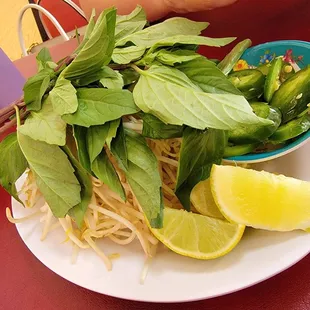 ramen and noodles, ramen, noodle soup, noodle dish, food, noodles