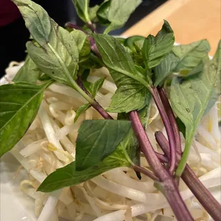 noodles, noodle dish, ramen and noodles, ramen, noodle soup, food