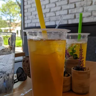 Iced Jasmine Tea