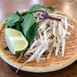 noodle dish, noodle soup, food, noodles, ramen and noodles, ramen