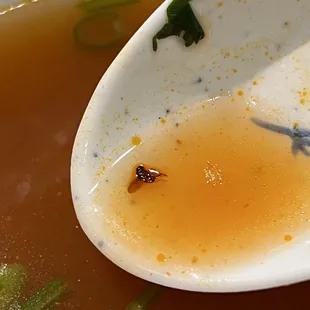 a spoon full of soup