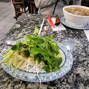 I wish New York pho places would give me cilantro like this instead of charging me $1 for everyone sprig