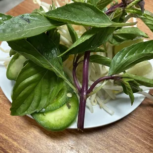 noodle dish, ramen and noodles, noodles, food, noodle soup, ramen