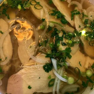Chicken pho - very flavorful broth.