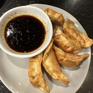 A2. 6 Pieces Pot Stickers