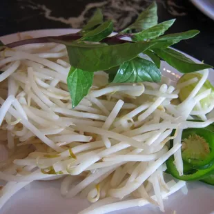 beautiful bean sprouts. cooked.