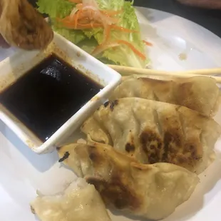 Pot Stickers