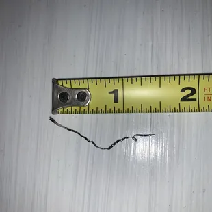 the length of a ruler