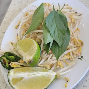 Garnishes for the Pho shared between 2 people