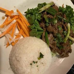 My FAVORITE Mongolian beef of ALL TIME!!!