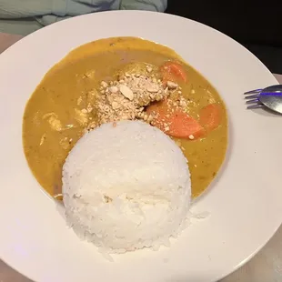 Chicken E19. Chiken Curry with Steamed Rice