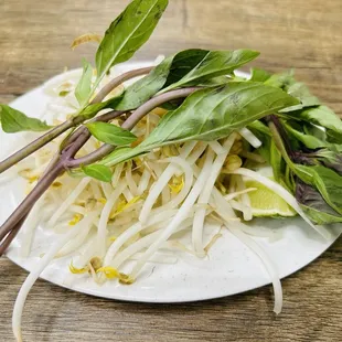 9/30/24 Pho add ins: beans sprouts basil, lime, jalapeño slices