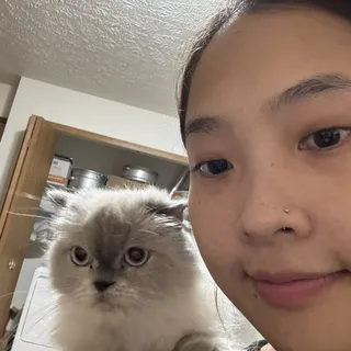 Anh M.