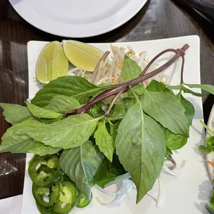 Fresh condiments for pho: lots of basil, crunchy sprouts, jalapeño slices, and limes.
