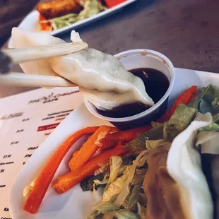Steamed Dumplings (6)