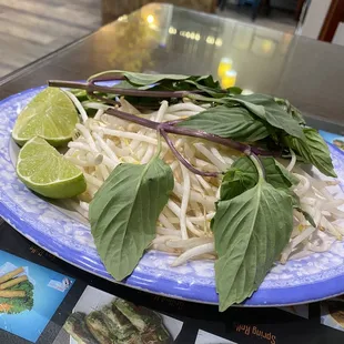 Sprouts lime and basil for Pho dishes