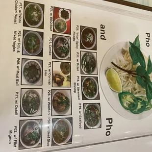 menu, sushi and sashimi