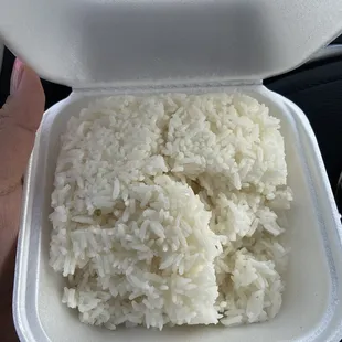 Steam and Steamed Rice Plate