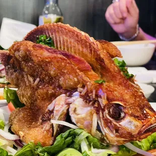 a large fish on a bed of lettuce