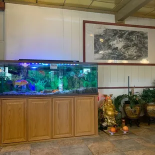 Fish tank