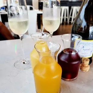 Mimosa flight