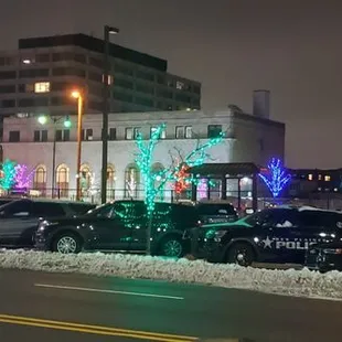 Downtown Des Plaines' beautiful holiday lights!