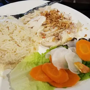 Rice Plates