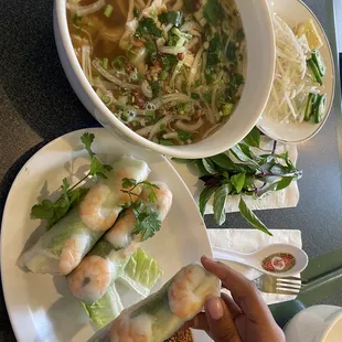 Chicken Pho and spring rolls