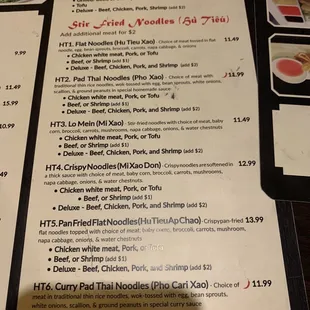 Vermicelli bowl and stir fried noodle