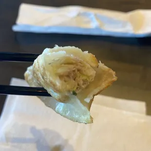 Inside the dumpling - pretty yummy!
