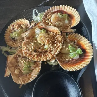 Scallops