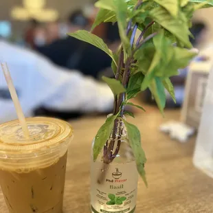 Basil garnish to bring home