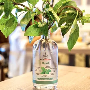Basil.