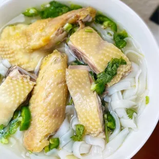 a bowl of chicken and noodles