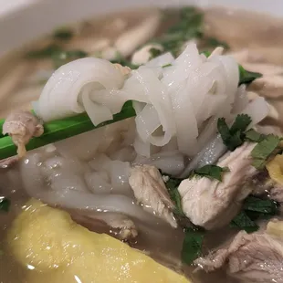 "Ho Fun" with shredded dark meat