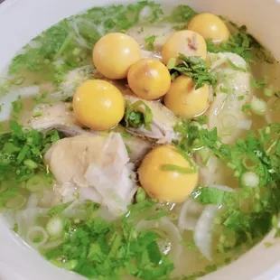 Pho Ga(chicken pho)with Trung Non