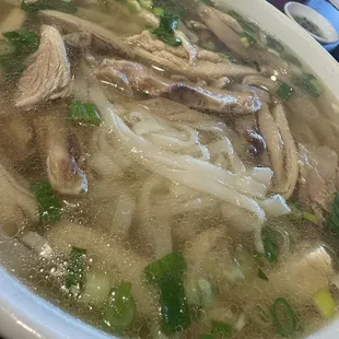 Chicken Noodle Soup