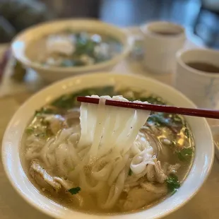 Chicken noodle soup