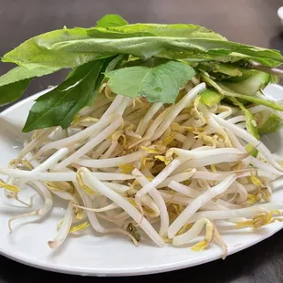 a plate of sprouts and lettuce