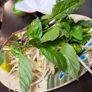 Bean sprouts, Mint, Limes for Pho