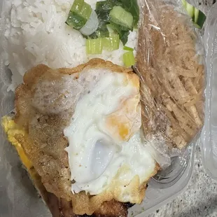 Rice plate with pork, egg, and shredded pork skin