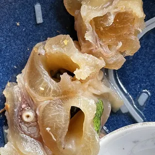 Tough, inedible tendon!