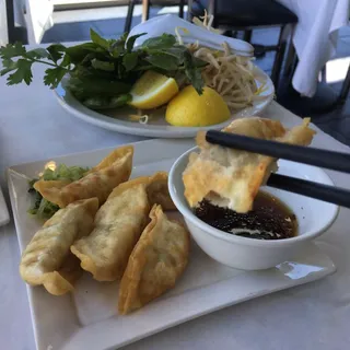 12. Chicken Dumplings (6)