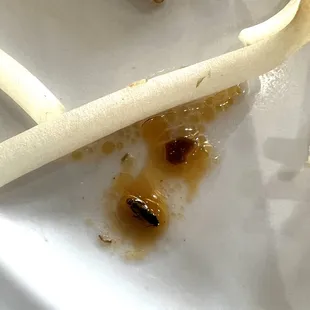 food, chowder, soups and chowder, soup