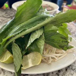 food, noodle dish, noodle soup, noodles, ramen, ramen and noodles