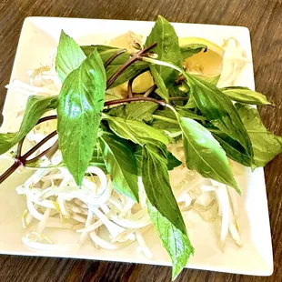 noodle soup, noodle dish, ramen and noodles, food, noodles, ramen