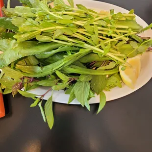 Plenty of herbs for two people???