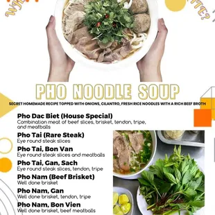 Pho noodle soup