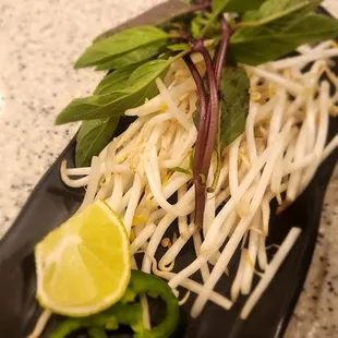 noodle dish, food, noodles, ramen, ramen and noodles, noodle soup