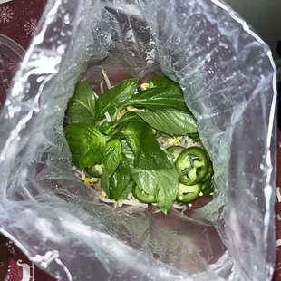 All the fixings for takeout (basil, lime, bean sprouts, jalapeños)